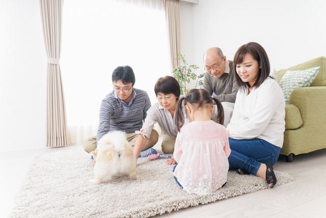 相続税評価額の再計算・見直しによる相続税還付とは？手続きの進め方と注意点