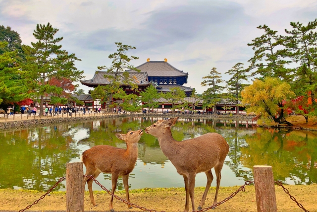 滋賀県・奈良県・和歌山県・三重県の地価動向　近畿圏内で広がる二極化に注目